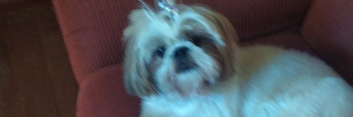 Cris P Figueiredo banner