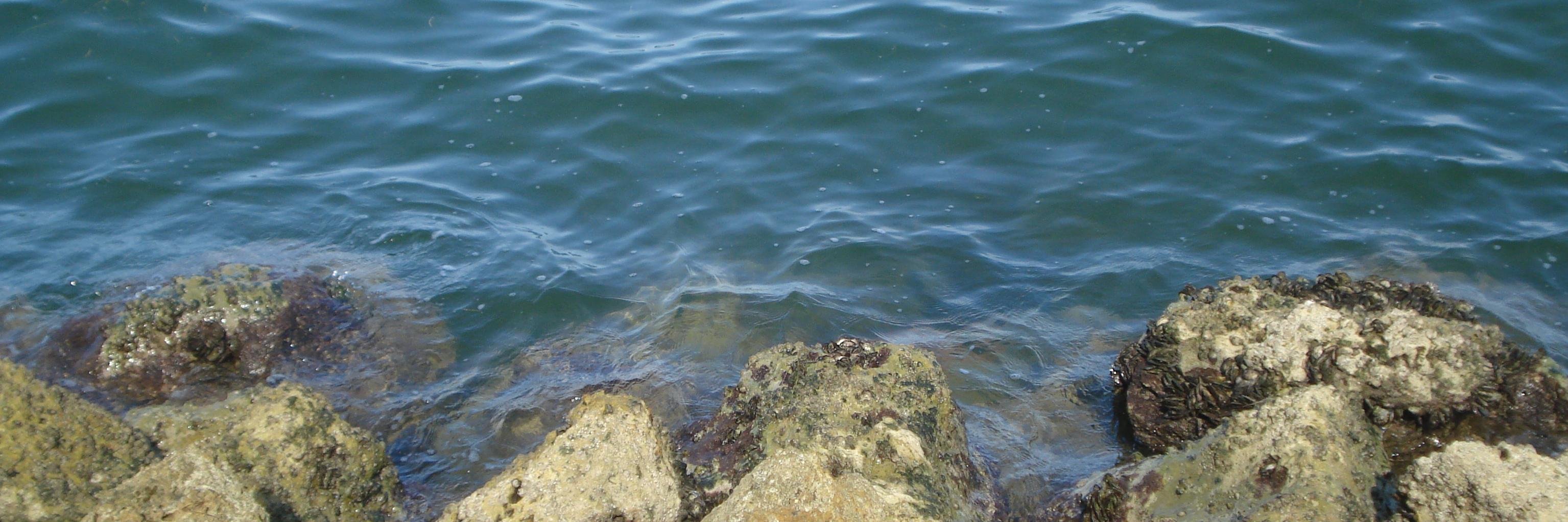 camartinez02's profile banner image