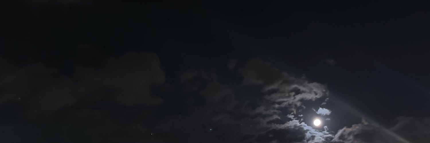 AlvrBerceste's profile banner image