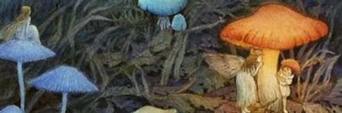 Deucelady's profile banner image