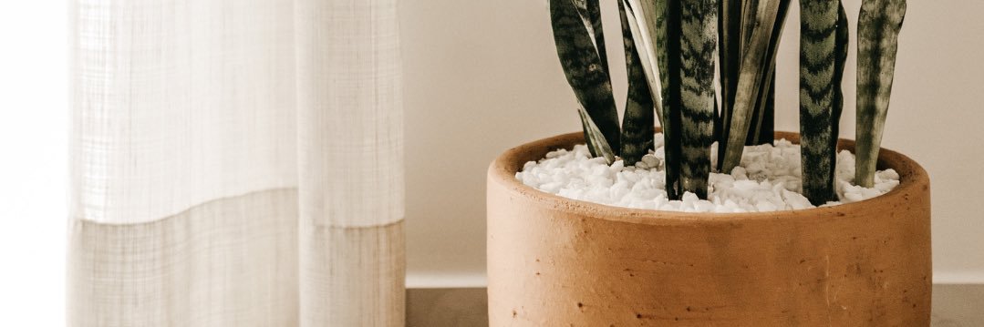 FerrentMckenzie's profile banner image
