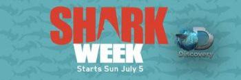 extrasharkyguy's profile banner image