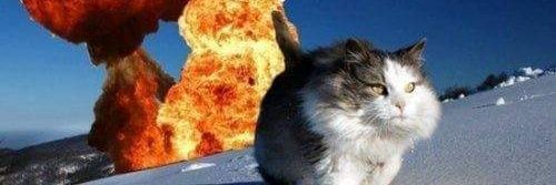 ethanshaffer's profile banner image