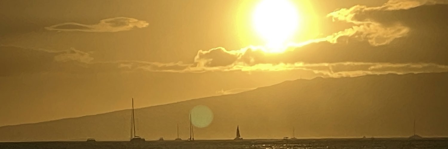 issue_too_fly's profile banner image