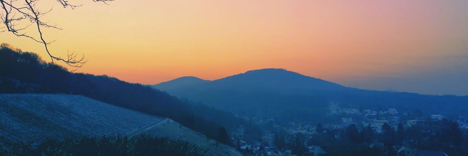 FrolleinAnne's profile banner image