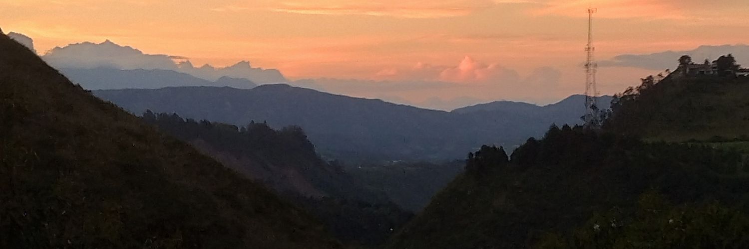 damsypha's profile banner image