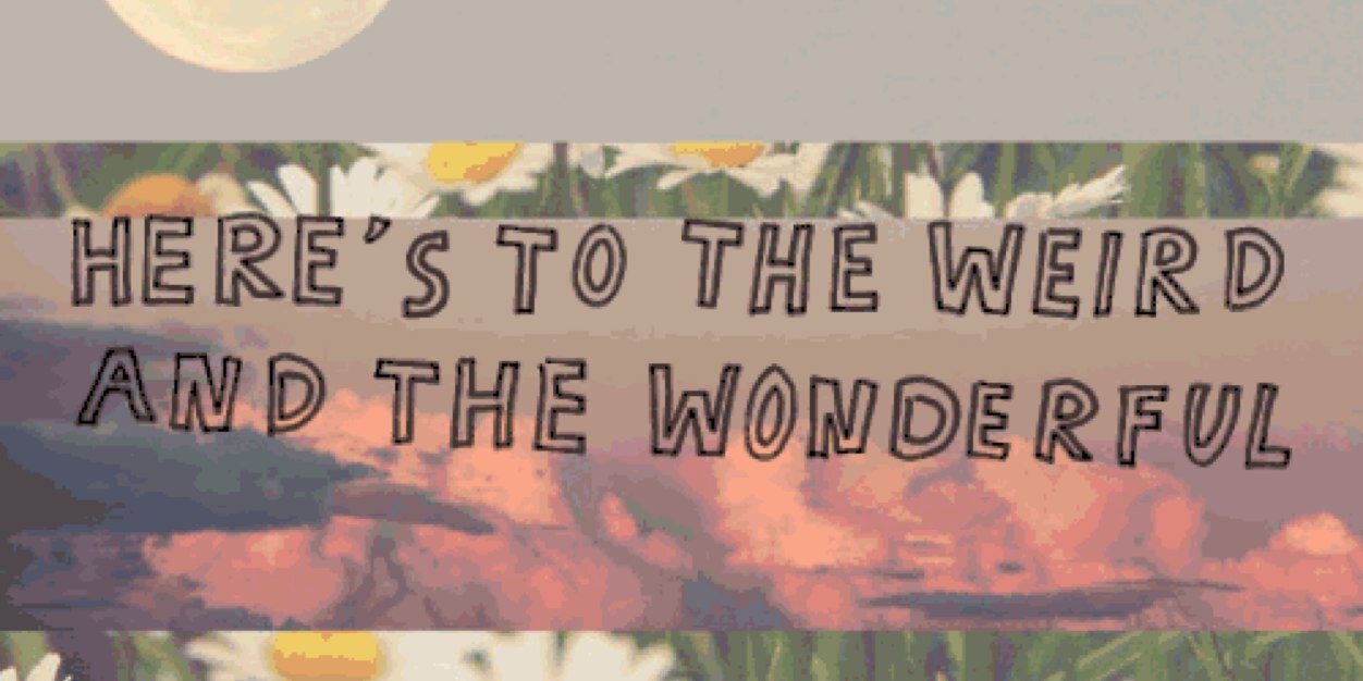 elizzabethp's profile banner image