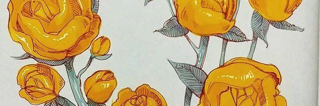 soymaargott's profile banner image