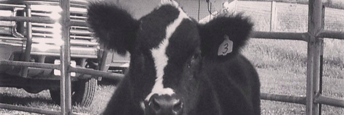ColbyLillegard's profile banner image