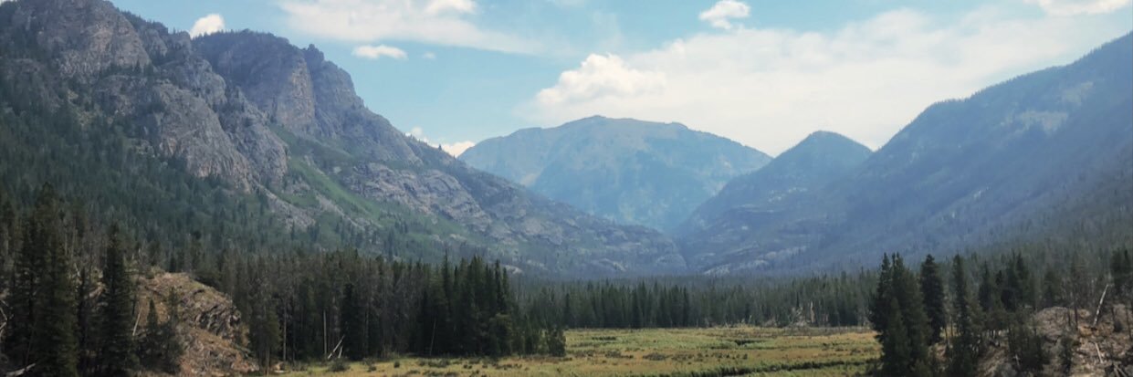juliacroberto's profile banner image