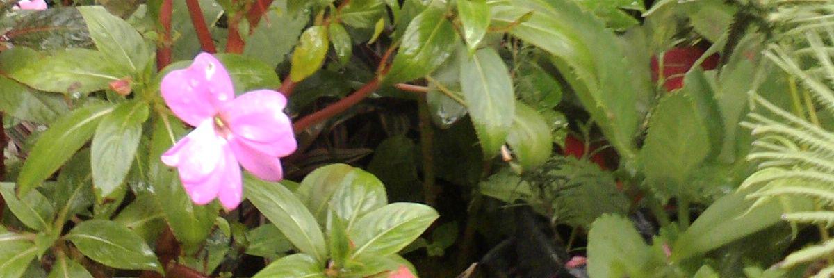 kennya_young's profile banner image