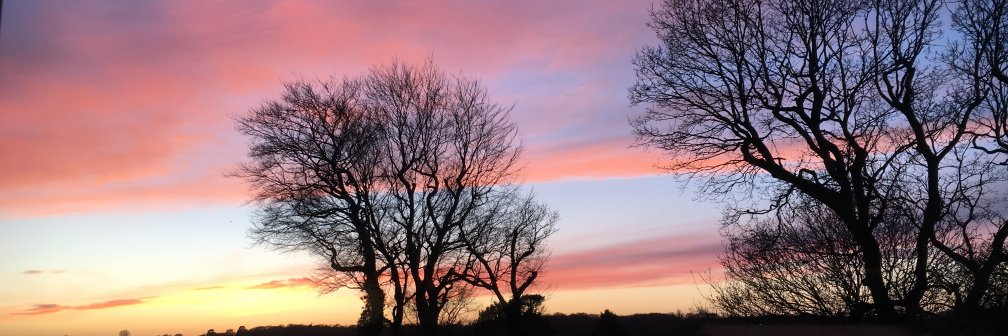 Debra Leigh-Taylor 🧡🇬🇧 banner