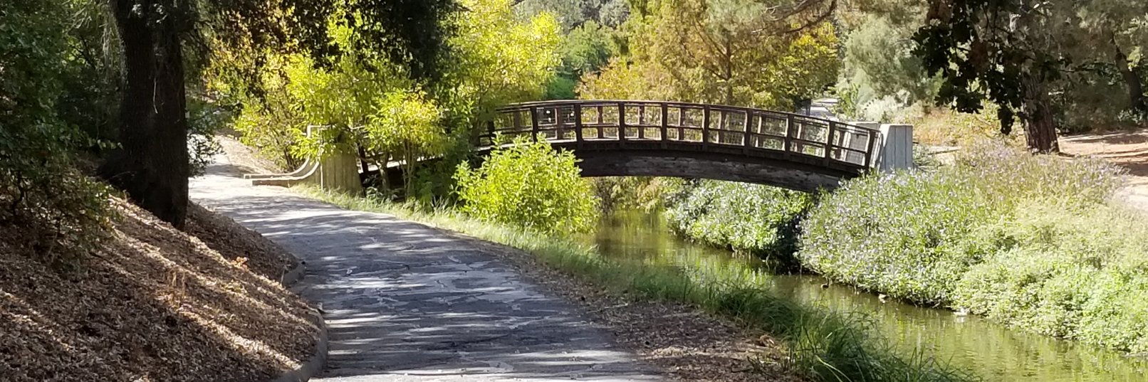 Michelle Polchow banner