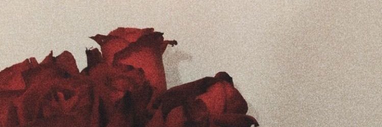 taxharr's profile banner image