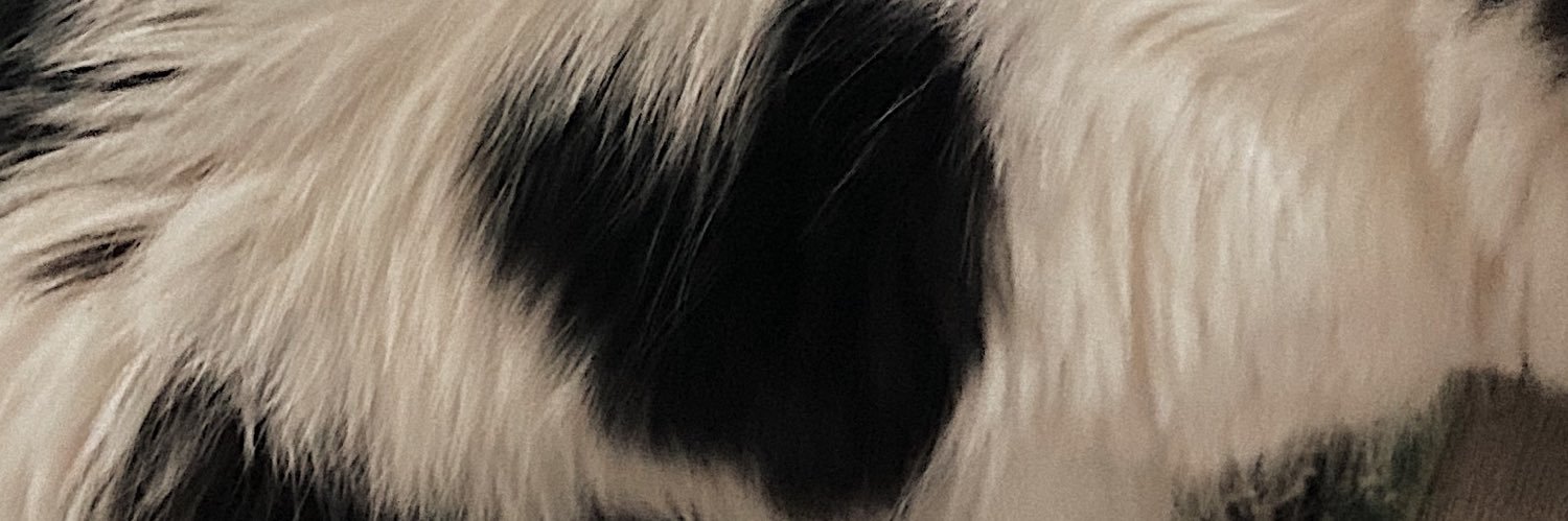 katysaintj's profile banner image