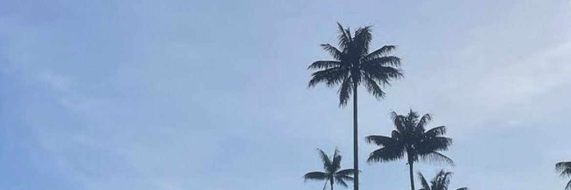 daniel94ortega's profile banner image