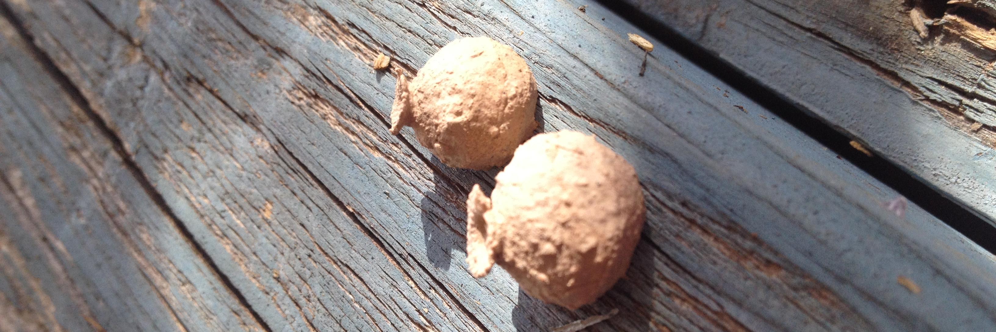 vandubstudios's profile banner image