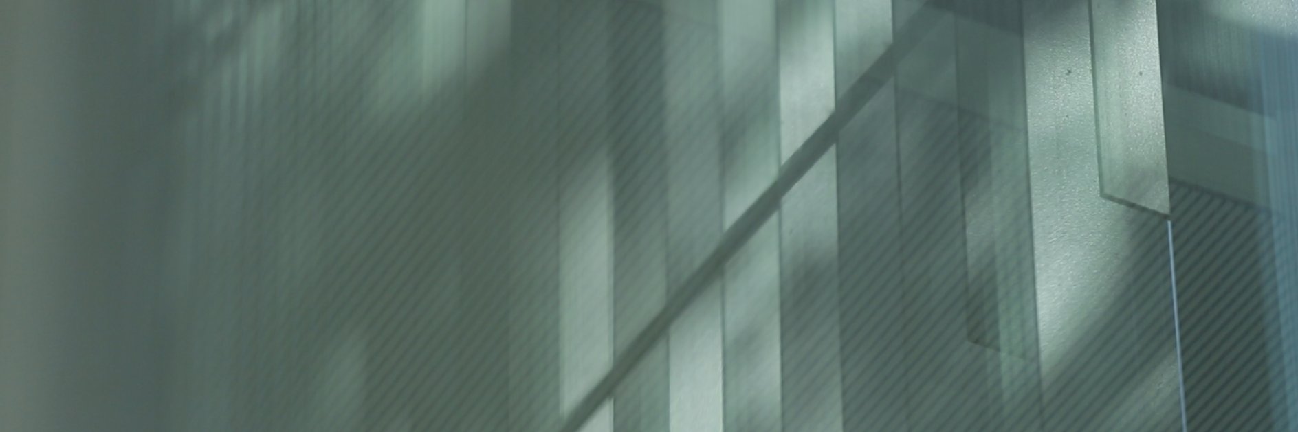 Natural_Light's profile banner image