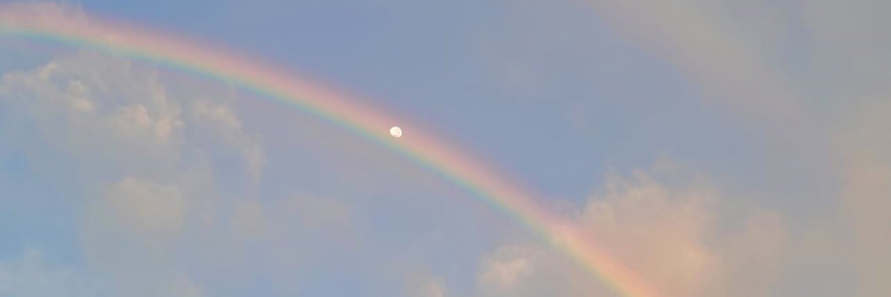 Minkpd's profile banner image