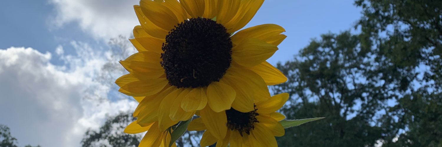 etaylor5217's profile banner image