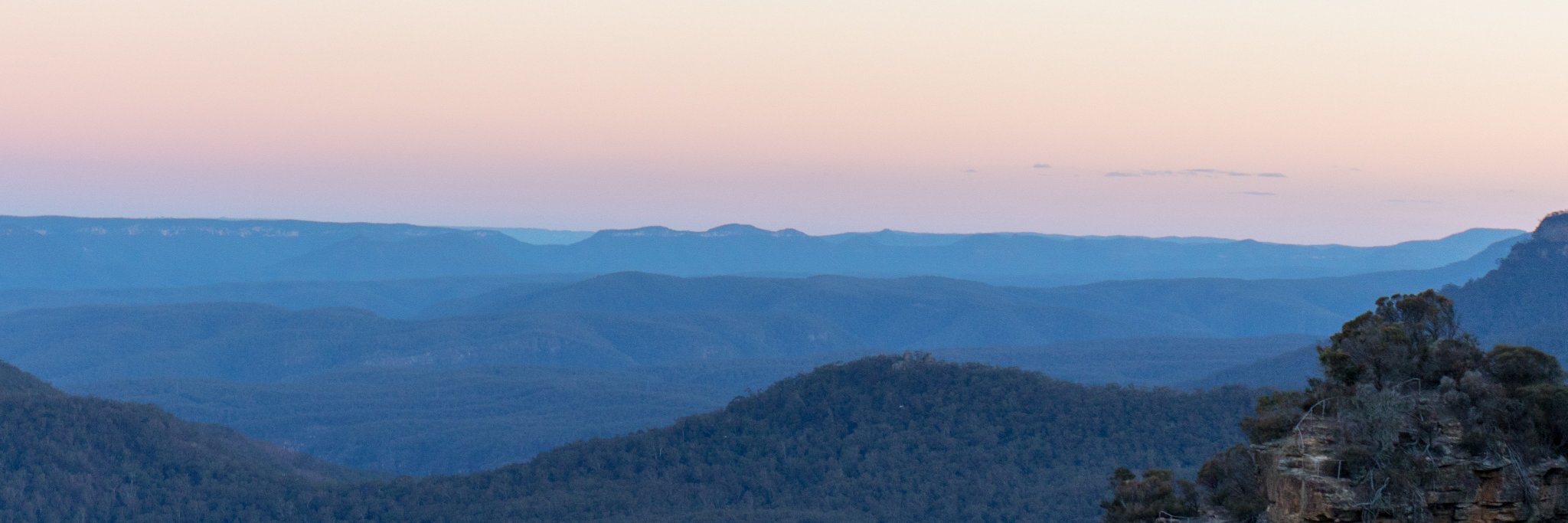 Constantin Schneider banner