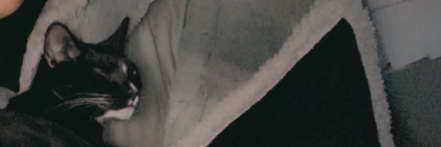 nclkndsn's profile banner image