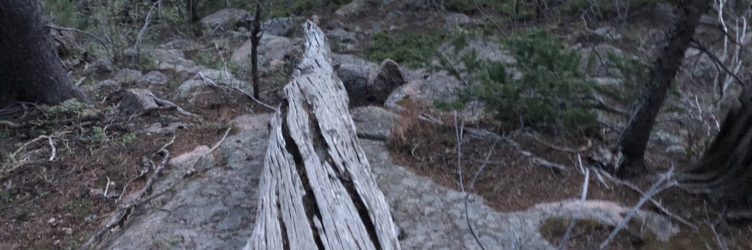 DavGawg's profile banner image