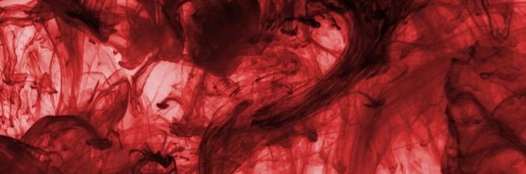 Bree0697's profile banner image