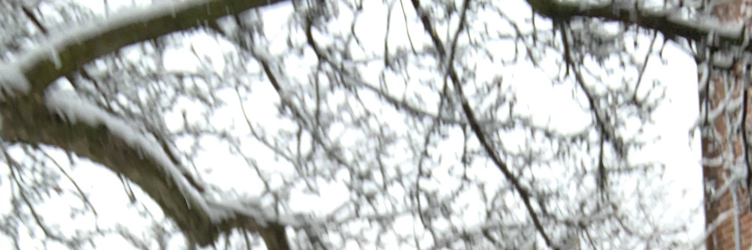 virles126's profile banner image