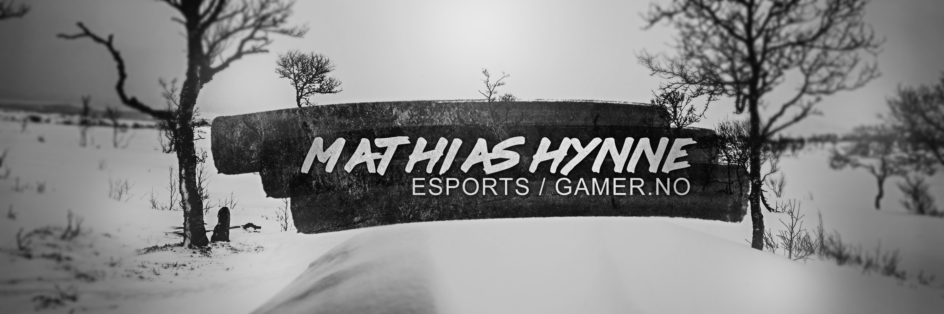 Mathias Hynne banner