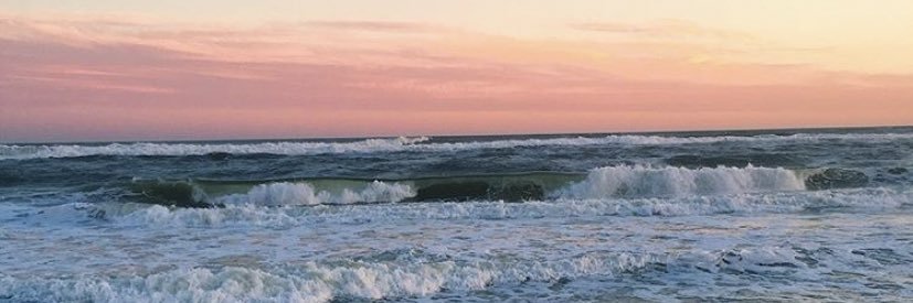 casecart's profile banner image