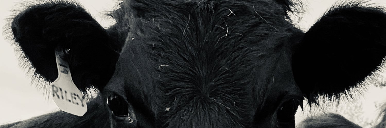 jared_hayward's profile banner image