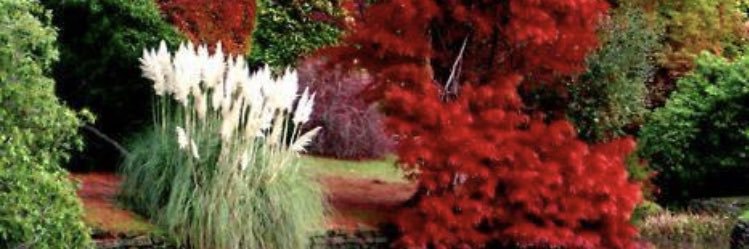 kimborina70's profile banner image