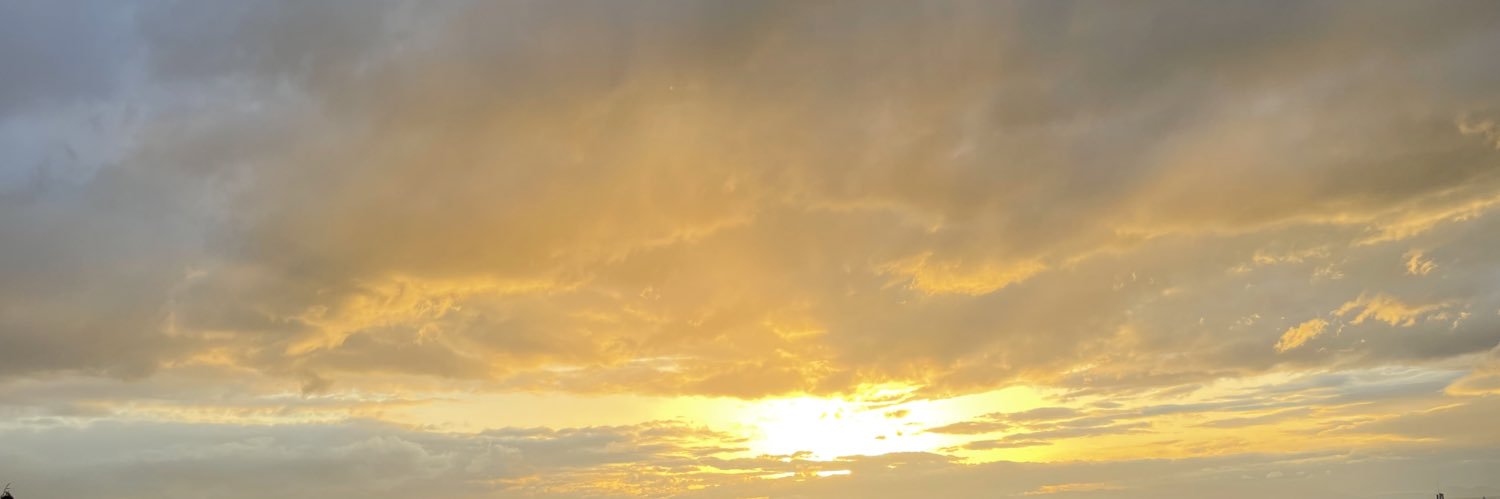 V🇪🇬🇵🇸 banner