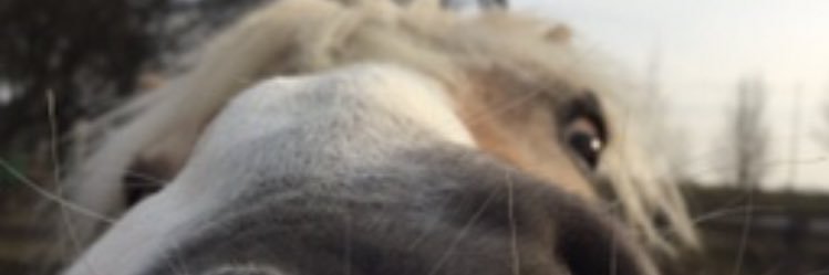 miekmiek's profile banner image