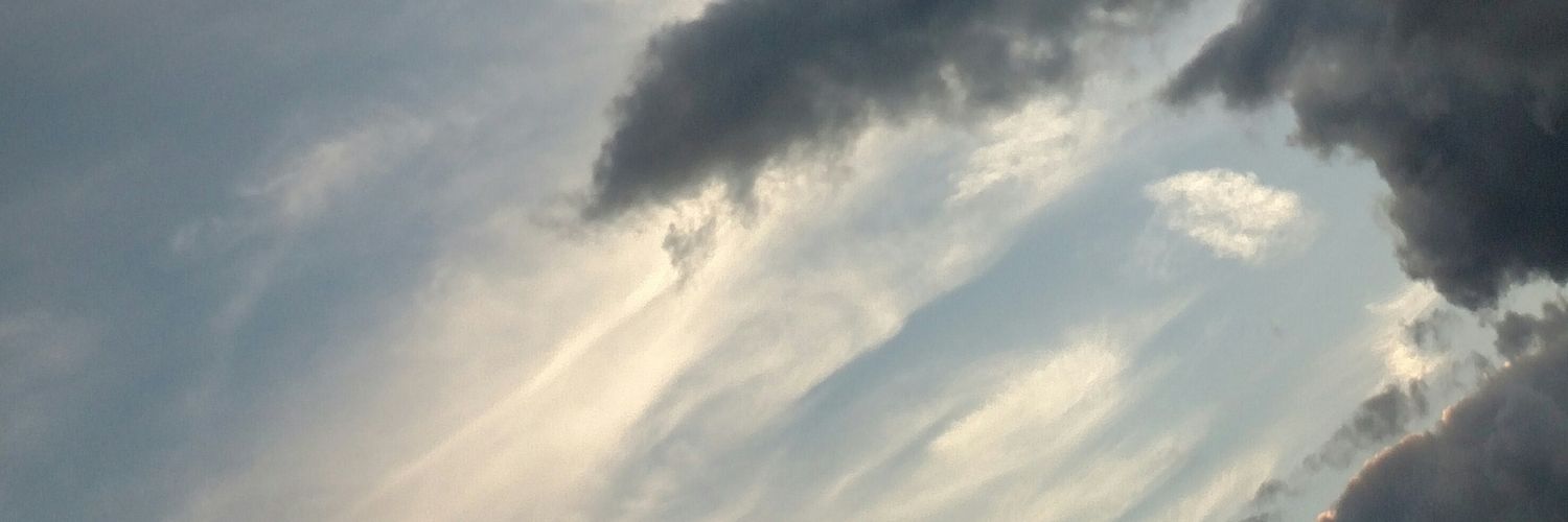 jamuuwu's profile banner image
