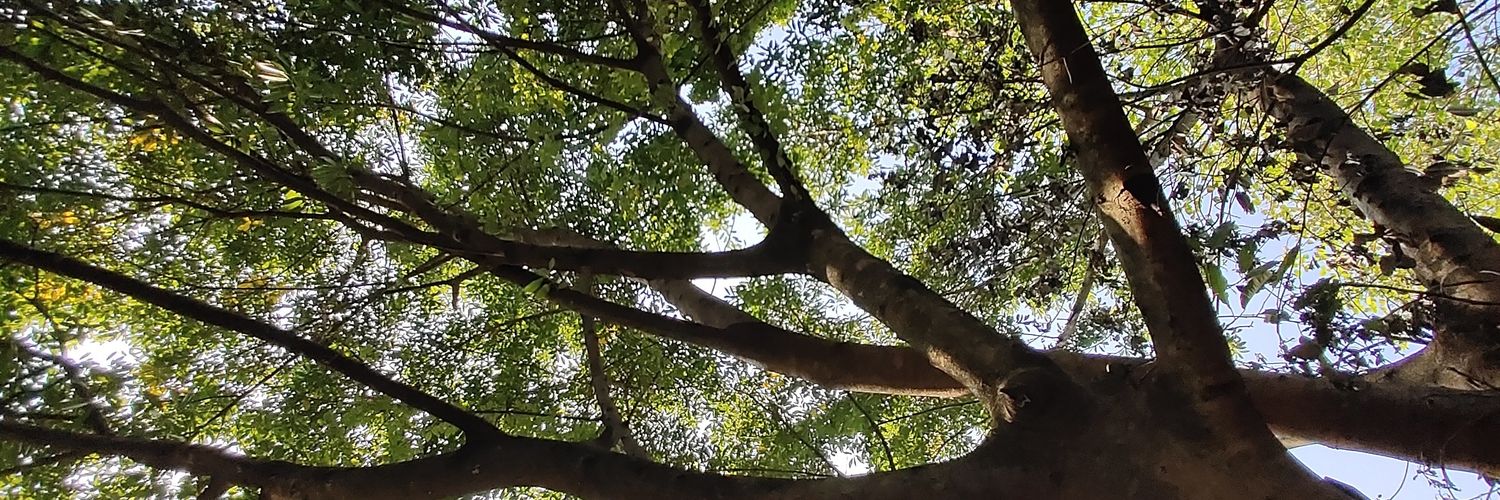 ImAxce's profile banner image
