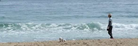 한정애 더불어민주당 국회의원, 강서병 banner