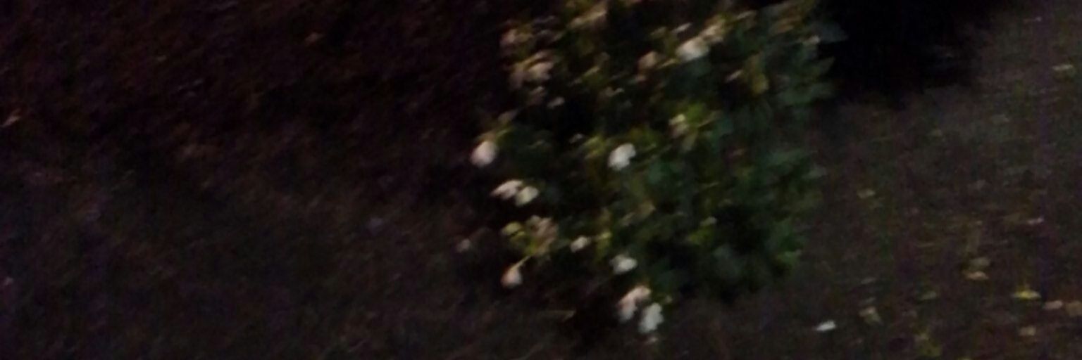 JoeBiggs1949's profile banner image