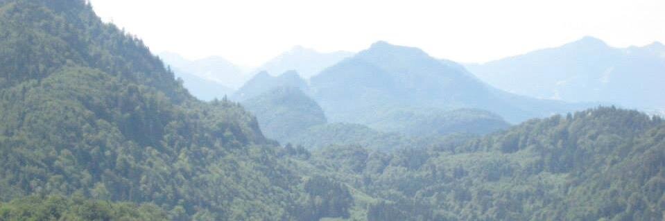 Daniel_Allar's profile banner image