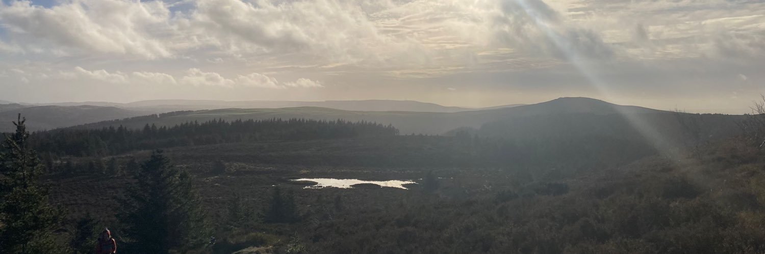 Lynnie23's profile banner image