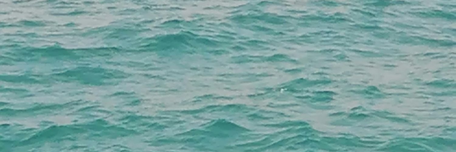 _shpaula's profile banner image