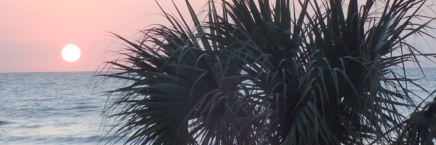 msdarkale's profile banner image