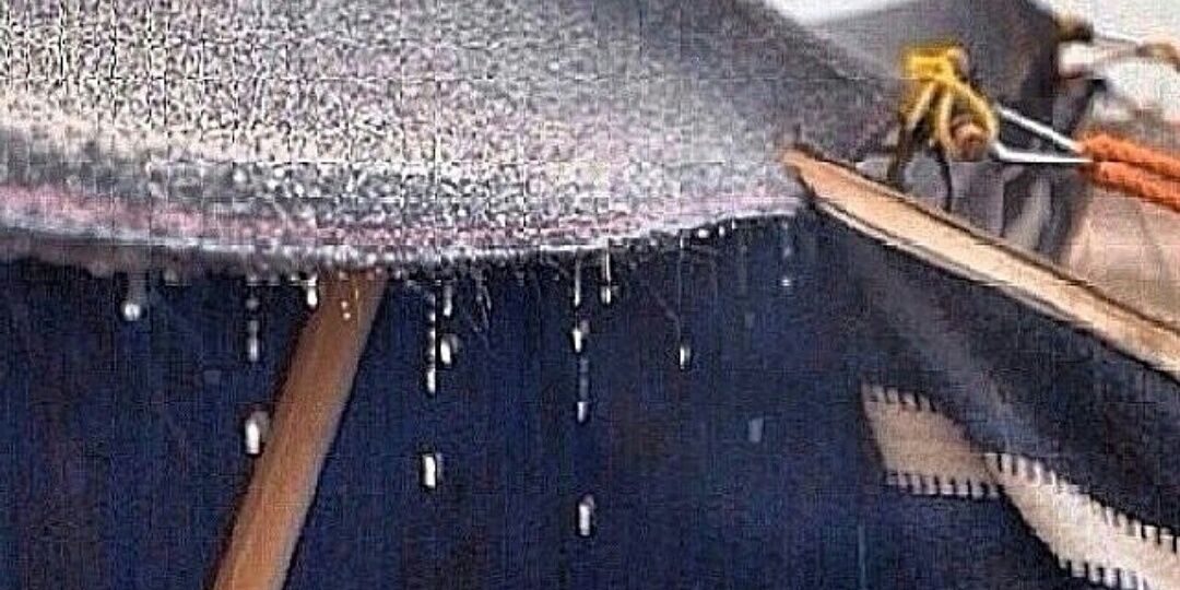 مغرد شششمالي * banner