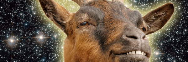 LikeGoatsDaily's profile banner image