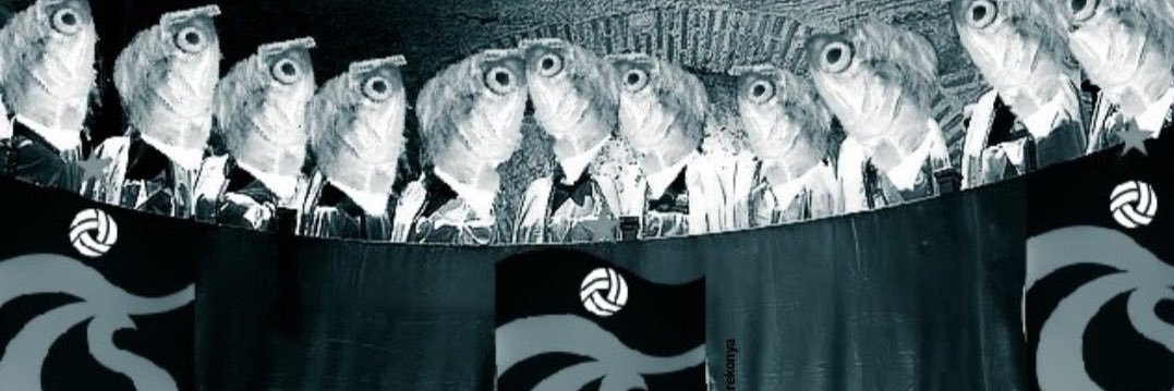 echomyname's profile banner image