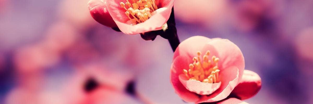 Филимонов Шурик banner