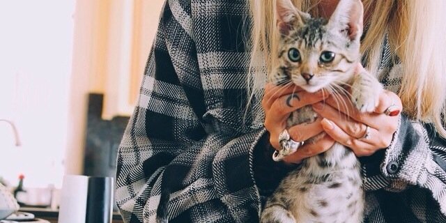 julesrpgwt's profile banner image