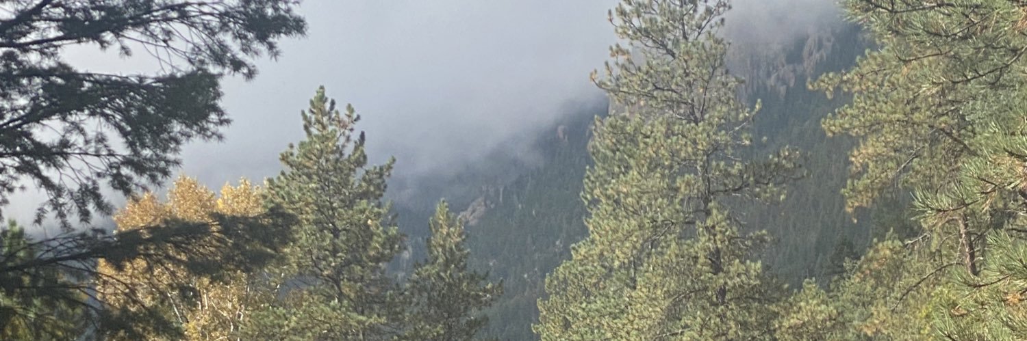 Laraeeee_'s profile banner image