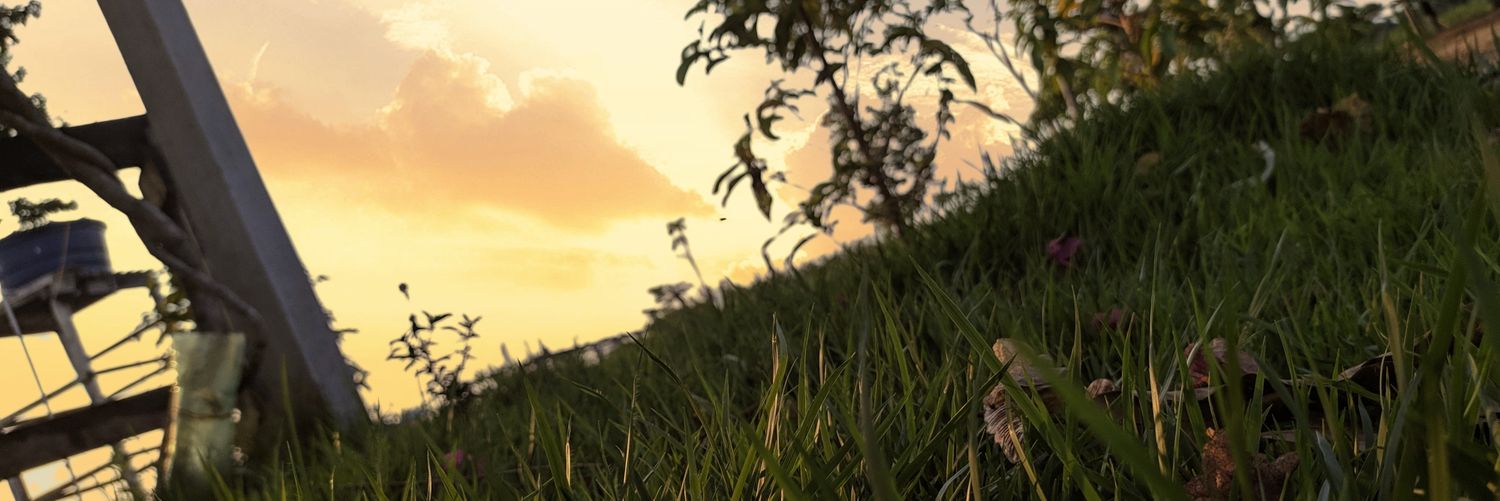 loreaquinot's profile banner image